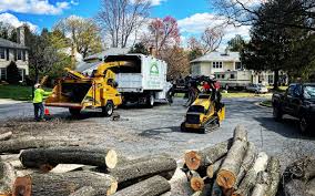 Best Leaf Removal  in Holladay, UT